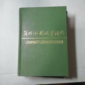 簡明體制改革詞典