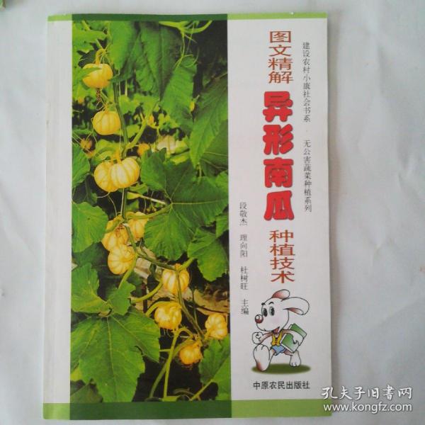 图文精解异形南瓜种植技术(品相好)