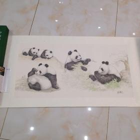 中国野生动物保护协会李蔷生先生画作木板印刷熊猫长卷