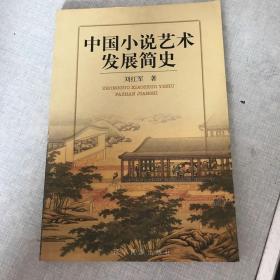 中国小说艺术发展简史