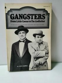 图解电影史系列：好莱坞匪徒 从《小凯撒》到《教父》Pyramid Illustrated History of The Movies ：Gangsters From Little Caesar to The Godfather by John Gabree （电影史）英文原版书