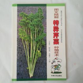 图文精解特异芹菜种植技术