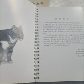 小动物胸部,腹部放射学。两册