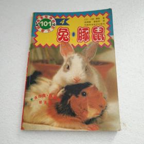 兔和豚鼠