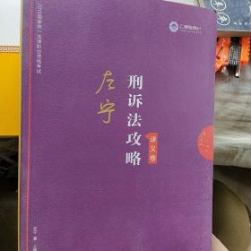 司法考试2019 上律指南针 2019国家统一法律职业资格考试：左宁刑诉法攻略·讲义卷