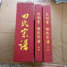 茂荆堂（田氏宗谱）上下