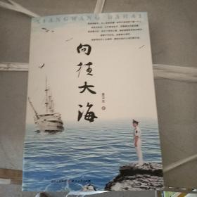 向往大海