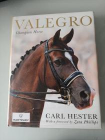 VALEGRO champion horse