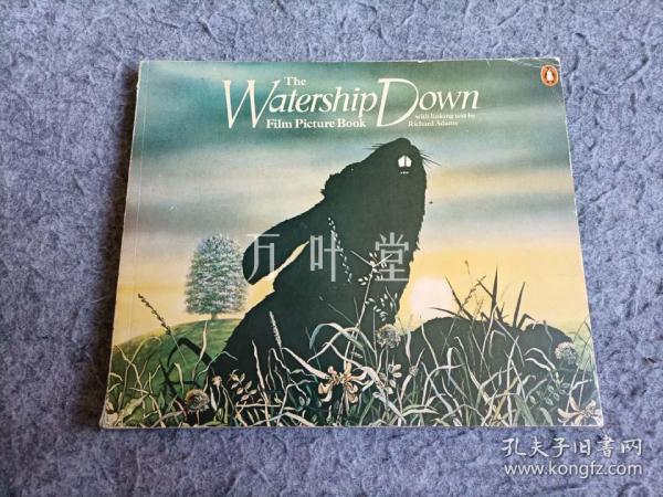 万叶堂　英文原版绘本  the watership down  1978年初版 电影绘本 罕见