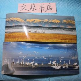 大美青海 青海湖邮资明信片2张 如图tg-112-7