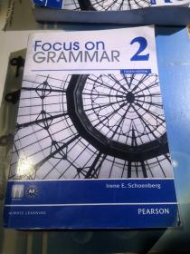 Focus on GRAMMAR 2