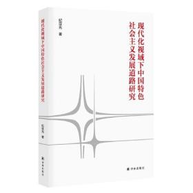 现代化时域下中国特色社会主义发展道路研究