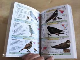 鸟 全世界800多种鸟的彩色图鉴