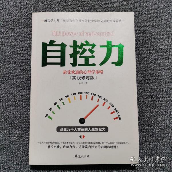 自控力：最受欢迎的心理学策略（实践修炼版）