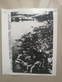 【老照片】日军占领南京后制造南京大屠杀后扔到长江岸边的中国人尸体