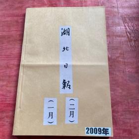 湖北日报2009年1月2月原版报 2个月的