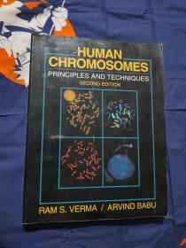 HUMAN CHROMOSOMES PRINCIPLES AND TECHNIQUES SECOND EDITION-人类染色体原理与技术第二版