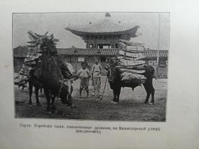 Корея Очерки 俄文原版老书：朝鲜旅行记（波兰作家谢罗谢夫斯基1903年朝鲜旅游见闻录，大量图片，记录了朝鲜1903年的历史文化、地理建筑、风土人情、学习劳动情景），1905年左右出版，俄罗斯圣彼得堡出版（孔网珍稀一）