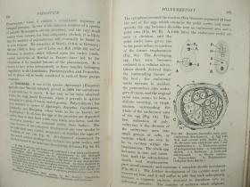 民国原版 1937年外文原版、布面硬精装插图本：recentadvancesinentomology(32开431页)