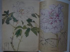 坚山南风素描 花（画家毛笔签名）