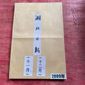 湖北日报2009年11月12月原版报 2个月的