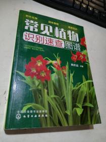 常见植物识别速查图谱