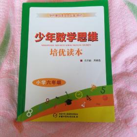 少年数学思维培优读本  小学六年级