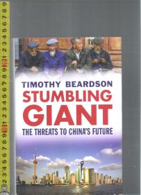 原版英语书 Stumbling Giant / Timothy Beardson【店里有许多英文原版书欢迎选购】