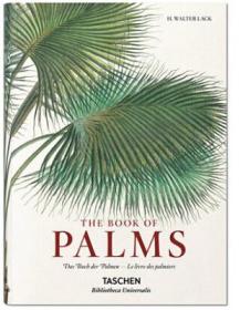 Martius. The Book of Palms 棕榈科热带植物绘画全彩绘手稿 马修斯：棕榈书画册全集