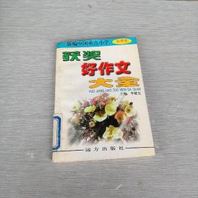 新编中国重点小学获奖好作文大全