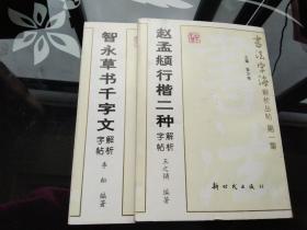 书法字海解析丛帖第1集：赵孟頫行楷二种解析字帖 智永草书千字文