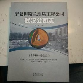 宁夏伊斯兰地质工程公司武汉公司志 : 1986-2013(库存书。包正版现货)