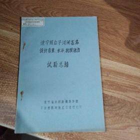 辽宁双台子河闸基桩设计垂直.水平.抗拔能力油印本