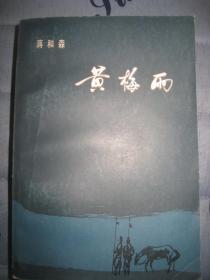 【黄梅雨】作者；蒋和森 上海文艺出版社