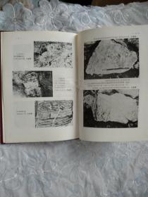 辽宁省岫岩县玉石矿典型矿床研究报告版图  精装 1983年   该书有版图50幅，另有4幅玉石雕件图，详见图片。