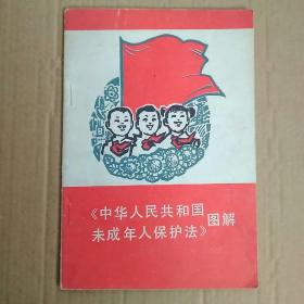 中华人民共和国：未成年人保护法图解