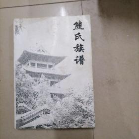 熊氏族谱（重庆市潼南县一带）。16开本内页干净无写划