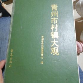 青州市村镇大观（共印2000册）