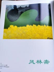 Setsuko  MIGISHI  三岸节子展 16开全彩80图 日本现代女性油画大师