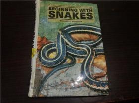 原版英法德意等外文  BEGINNING WITH SNAKES 每张都有图片 1999年 大32开硬精装