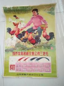 1977年历画：饲养家禽积极交售公鸡三把毛（山东省畜产进出口公司）