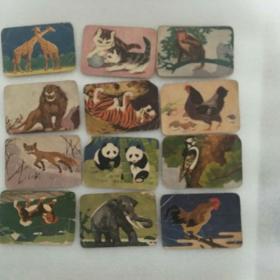 民国末年建国初期老动物卡片