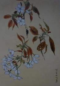 坚山南风素描 花（画家毛笔签名）