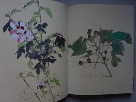 坚山南风素描 花（画家毛笔签名）