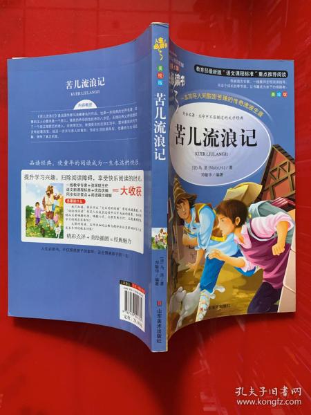 苦儿流浪记 美绘插图版 教育部“语文课程标准”推荐阅读 名词美句 名师点评 中小学生必读书系