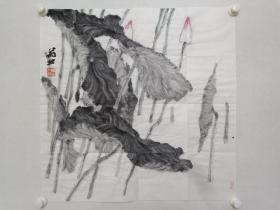 保真书画，当代水墨，陕西名家苗壮《荷韵》国画佳作一幅，尺寸68×69.5cm。欢迎鉴赏交流