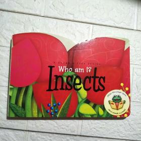 Who am li Insects （详情看图 ）