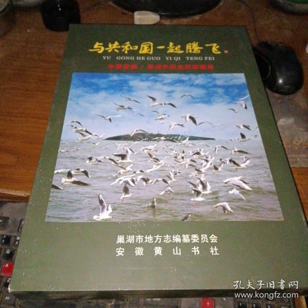 与共和国一起腾飞——中国安徽·巢湖市历史纪实画册（8开精装，有外涵套）私藏品佳、