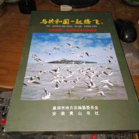 与共和国一起腾飞——中国安徽·巢湖市历史纪实画册（8开精装，有外涵套）私藏品佳、