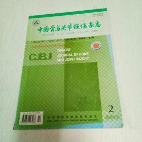 中国骨与关节损伤杂志（2011年第2期）